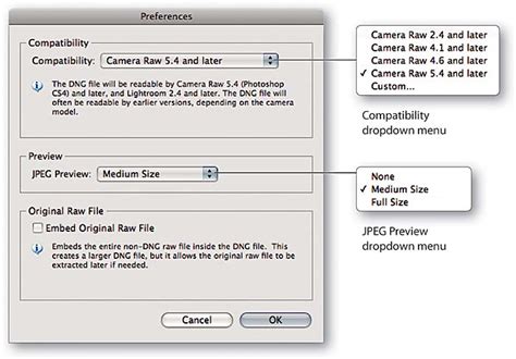 Adobe DNG Converter 17.2